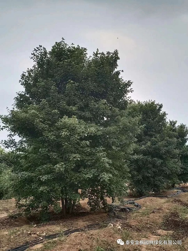 微信圖片_20220723162735 微信圖片_20220723162735